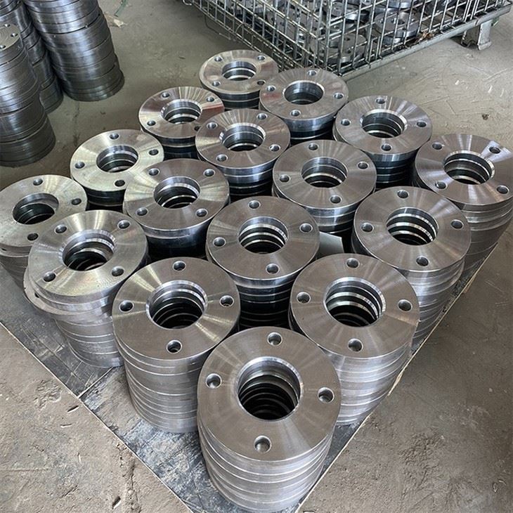SS304 304L Stainless Steel Pipe Fitting Flanges